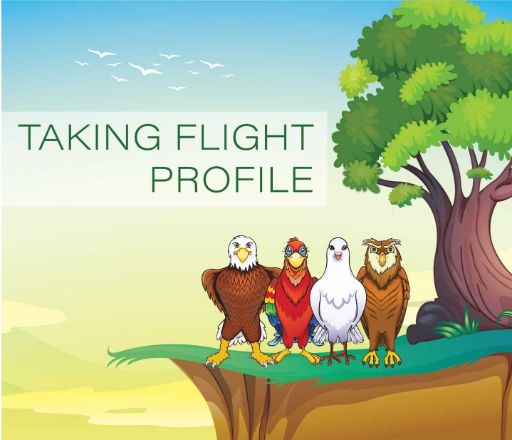 Disc Adult Birds Sample